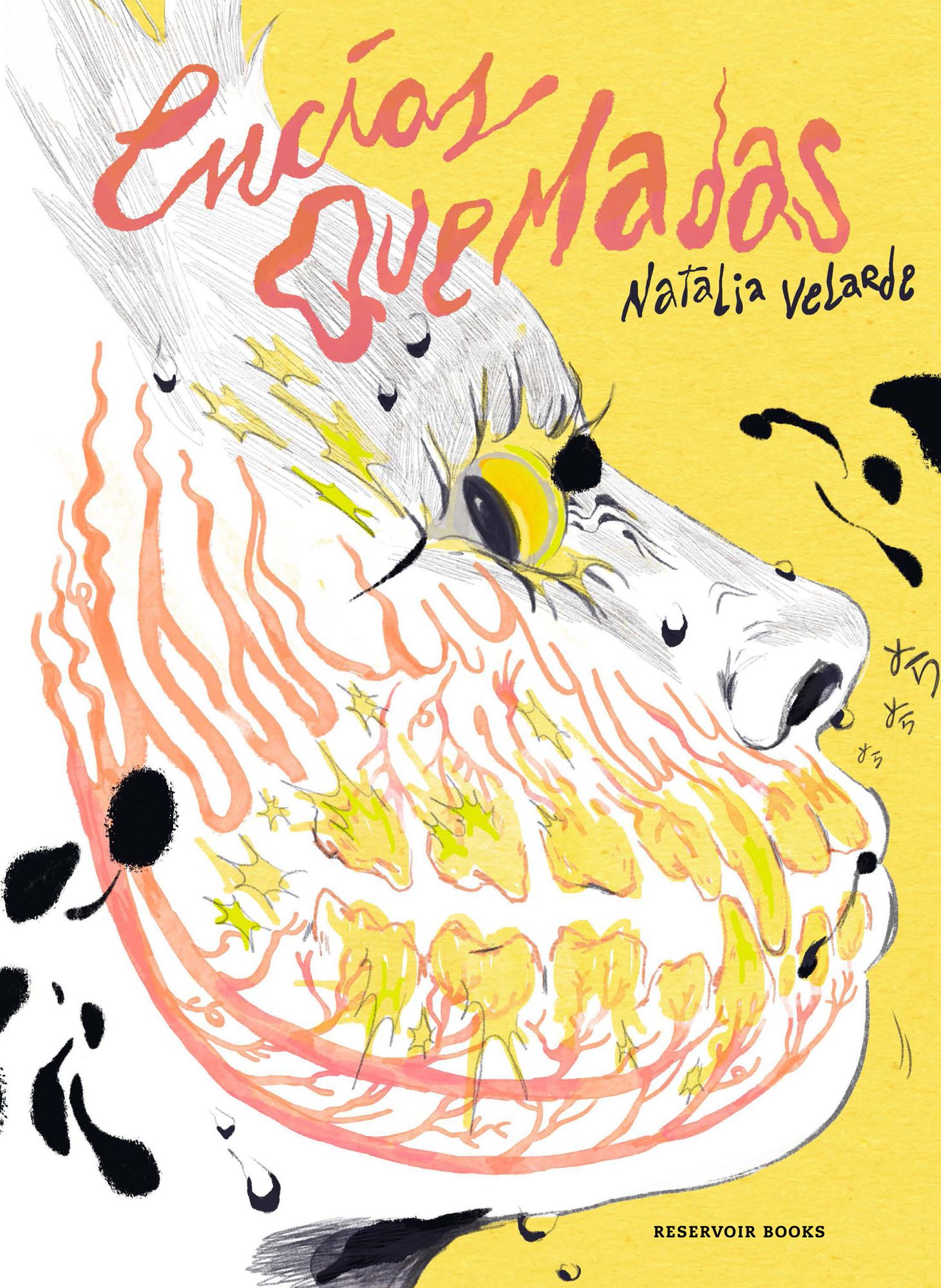 Encías quemadas / Burnt Gums