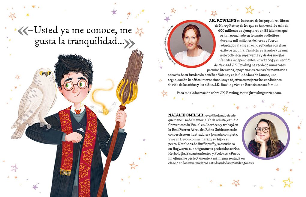 Pocket Potters - Harry Potter (Spanish Edition)