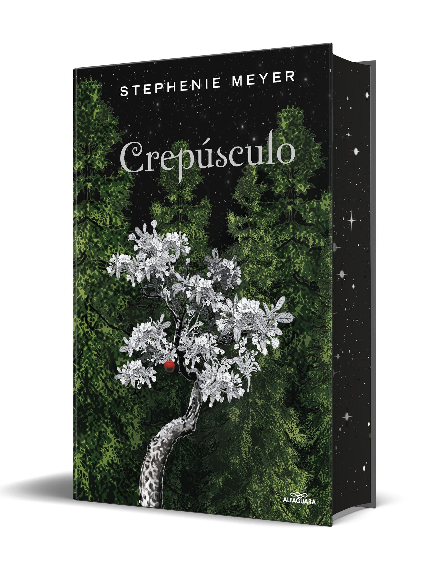 Estuche Saga Crepúsculo (contiene: Crepúsculo, Luna nueva, Eclipse y Amanecer) / Twilight Saga Box Set