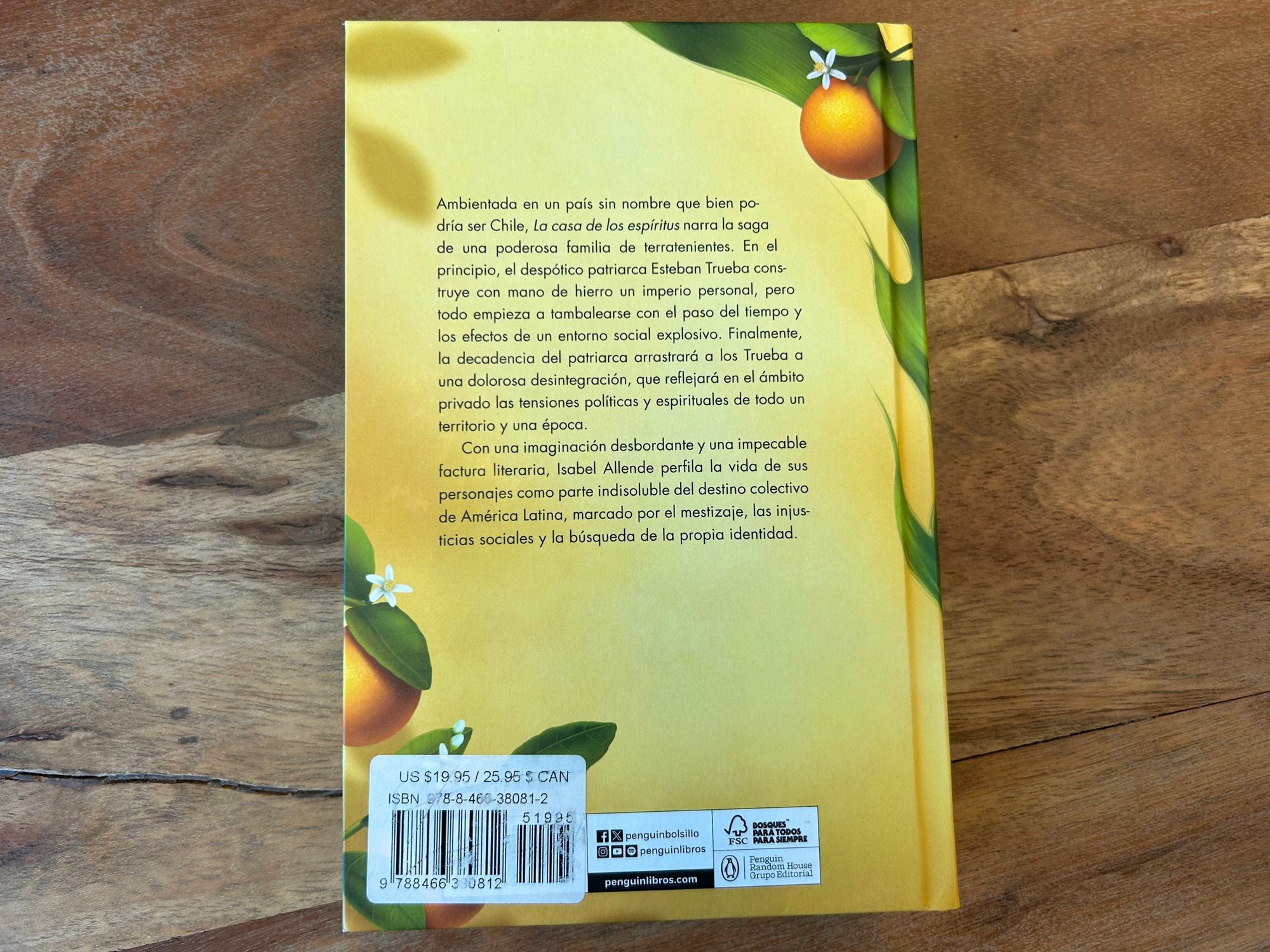 La casa de los espíritus (Edición especial cantos pintados) / The House of the Spirits