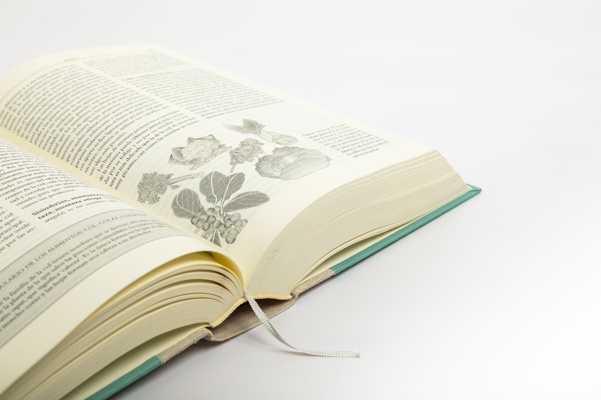 La cocina y los alimentos: Enciclopedia de la ciencia y la cultura de la comida / On Food and Cooking