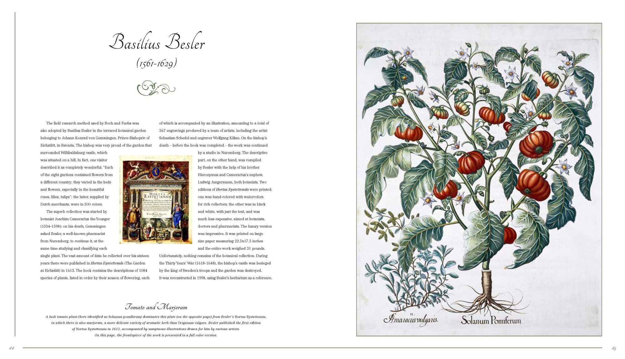 Botanical Art