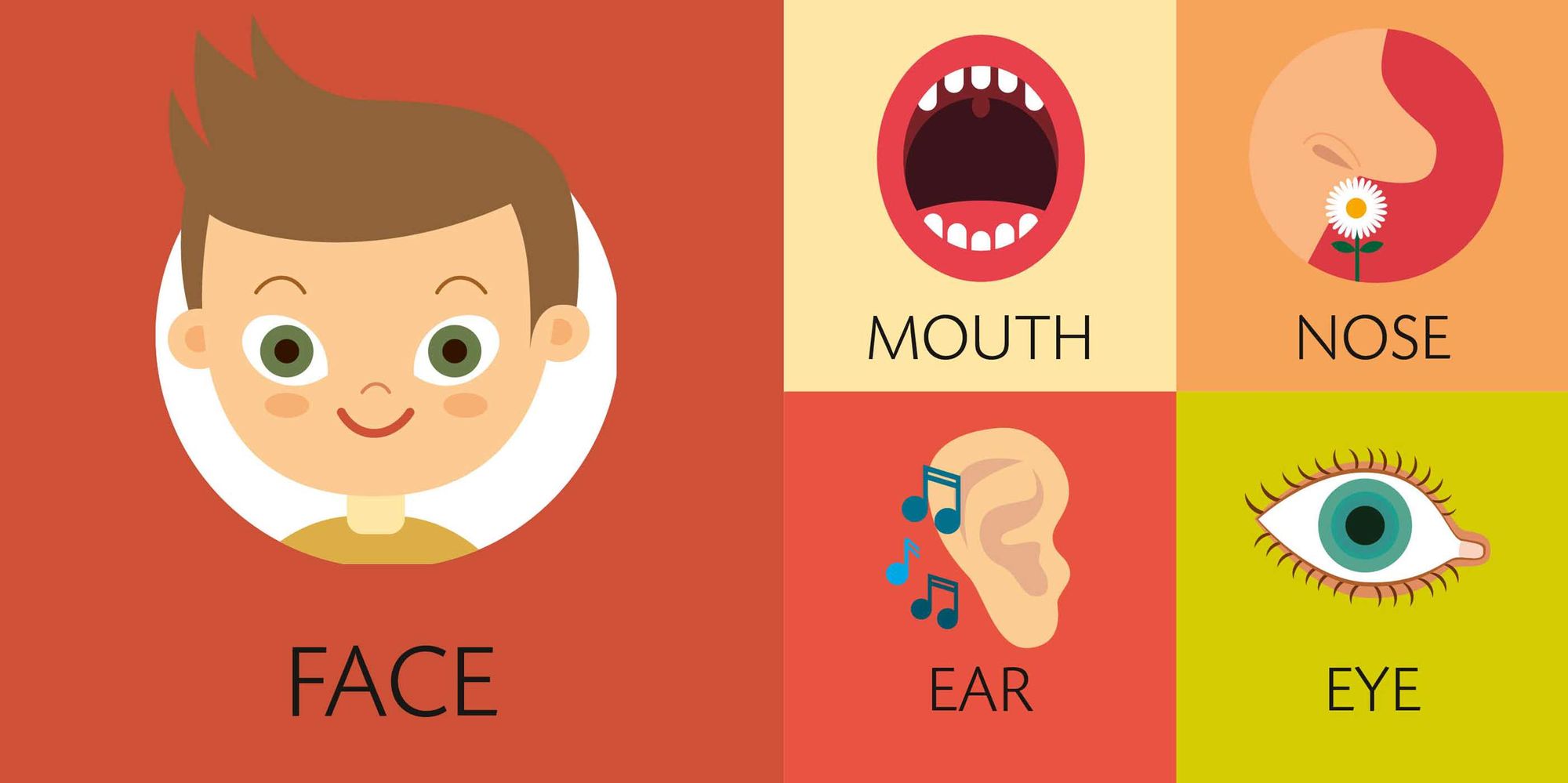 CubeBooks: Toddler Basics: 8 Board Books for Curious Little Ones