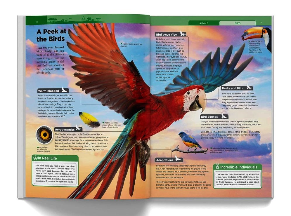 Knowledge Encyclopedia - Animals