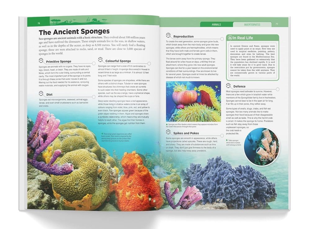 Knowledge Encyclopedia - Animals