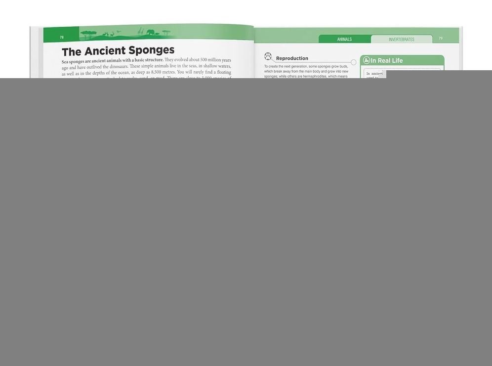 Knowledge Encyclopedia - Animals