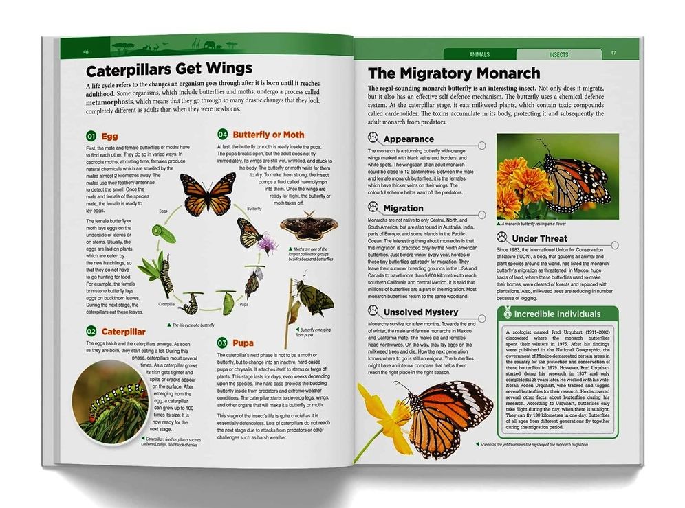 Knowledge Encyclopedia - Animals