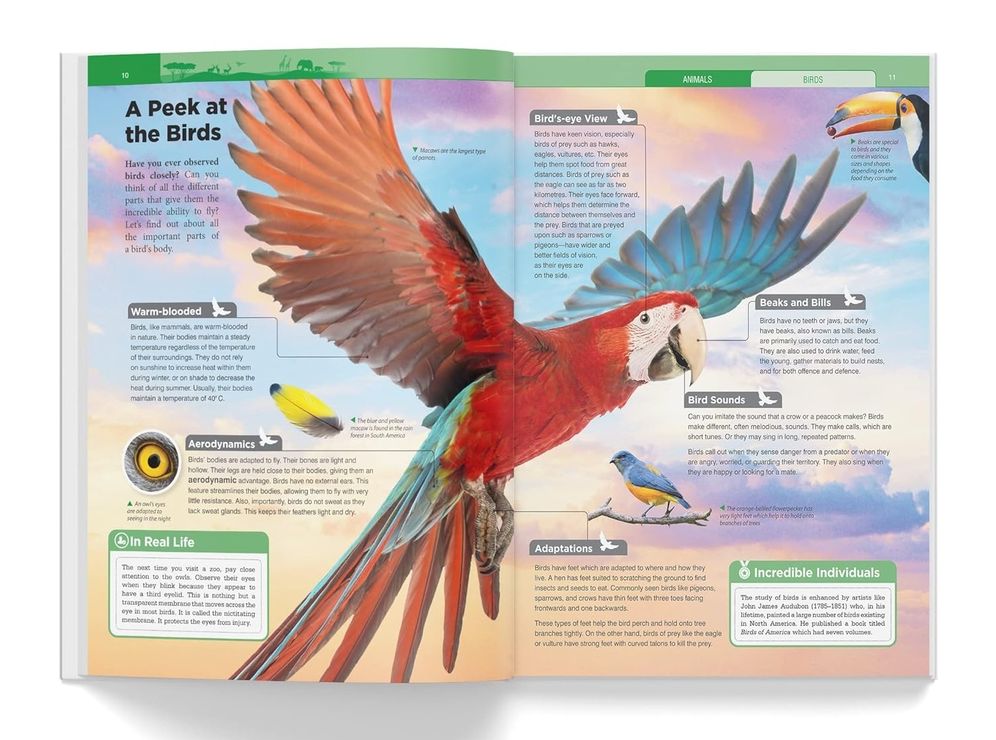 Knowledge Encyclopedia - Animals