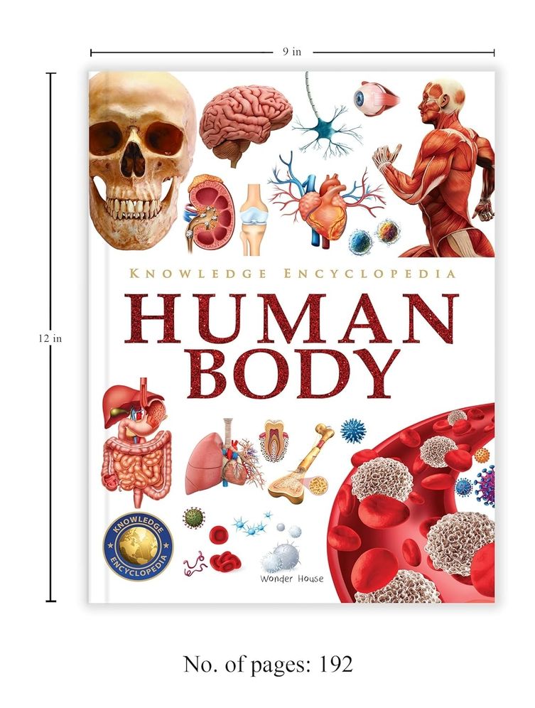 Knowledge Encyclopedia Human Body