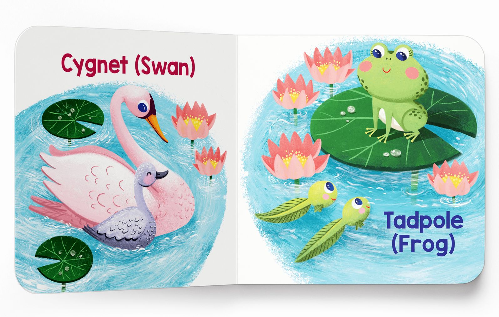 My First Baby Animal Boxed Set - (mini Box set)