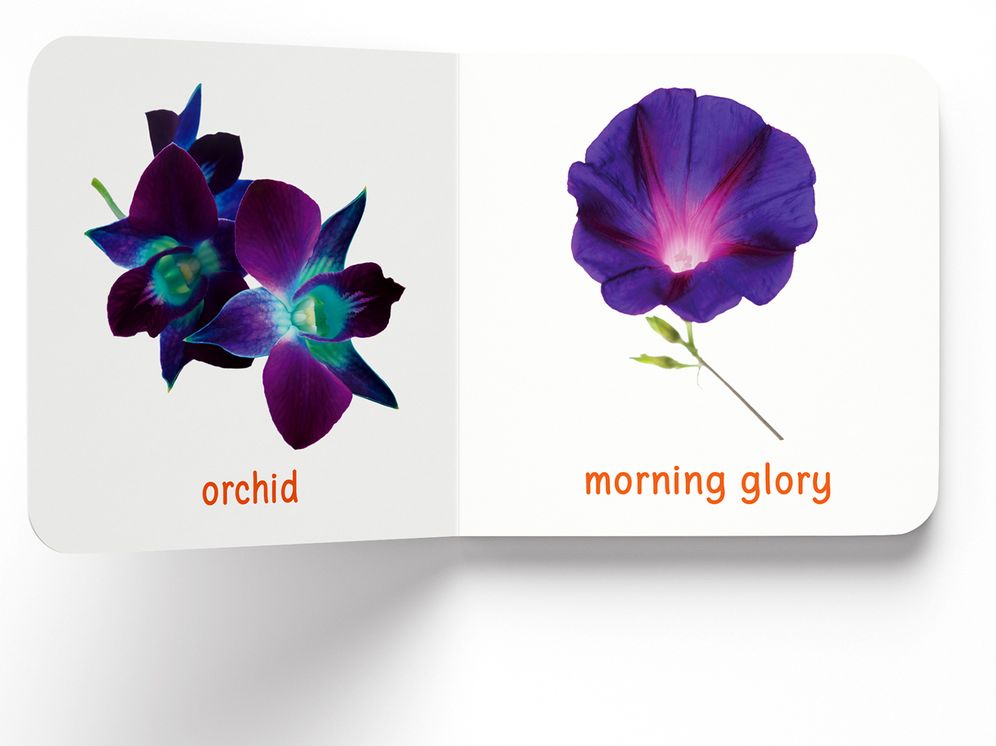 My First Book of Flowers: First Board Book