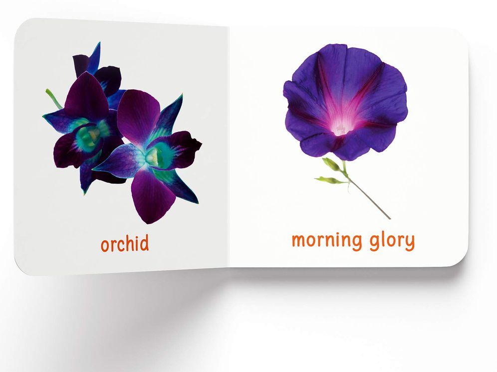 My First Book of Flowers: First Board Book
