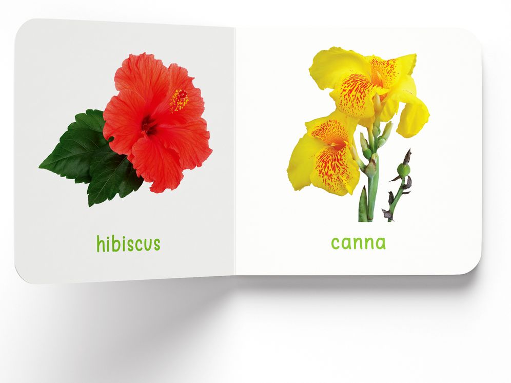 My First Book of Flowers: First Board Book