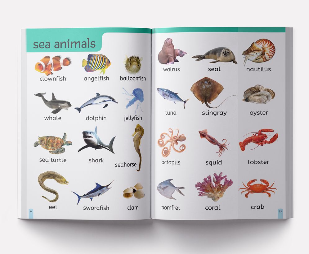 My First 1000 Words: Early Learning Picture Book to learn Alphabet, Numbers, Shapes and Colours, Transport, Birds and Animals, Professions, Opposite Words,