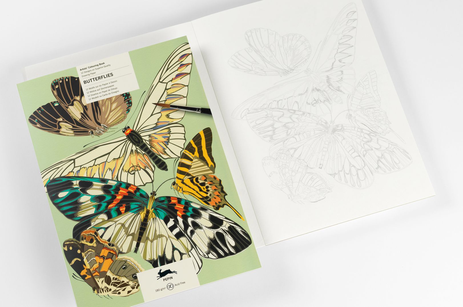 Butterflies Artists' Colouring Book