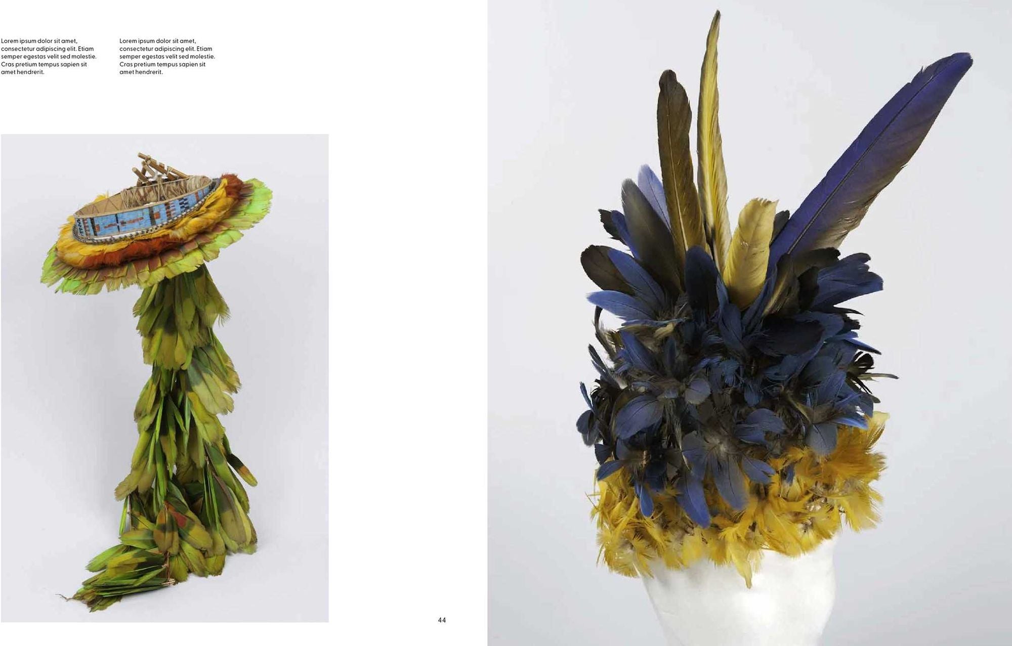 Birds: The Goldfinch, Birds, Art, and Us