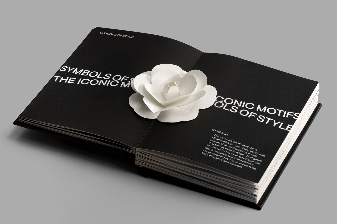 Pop-Up Chanel