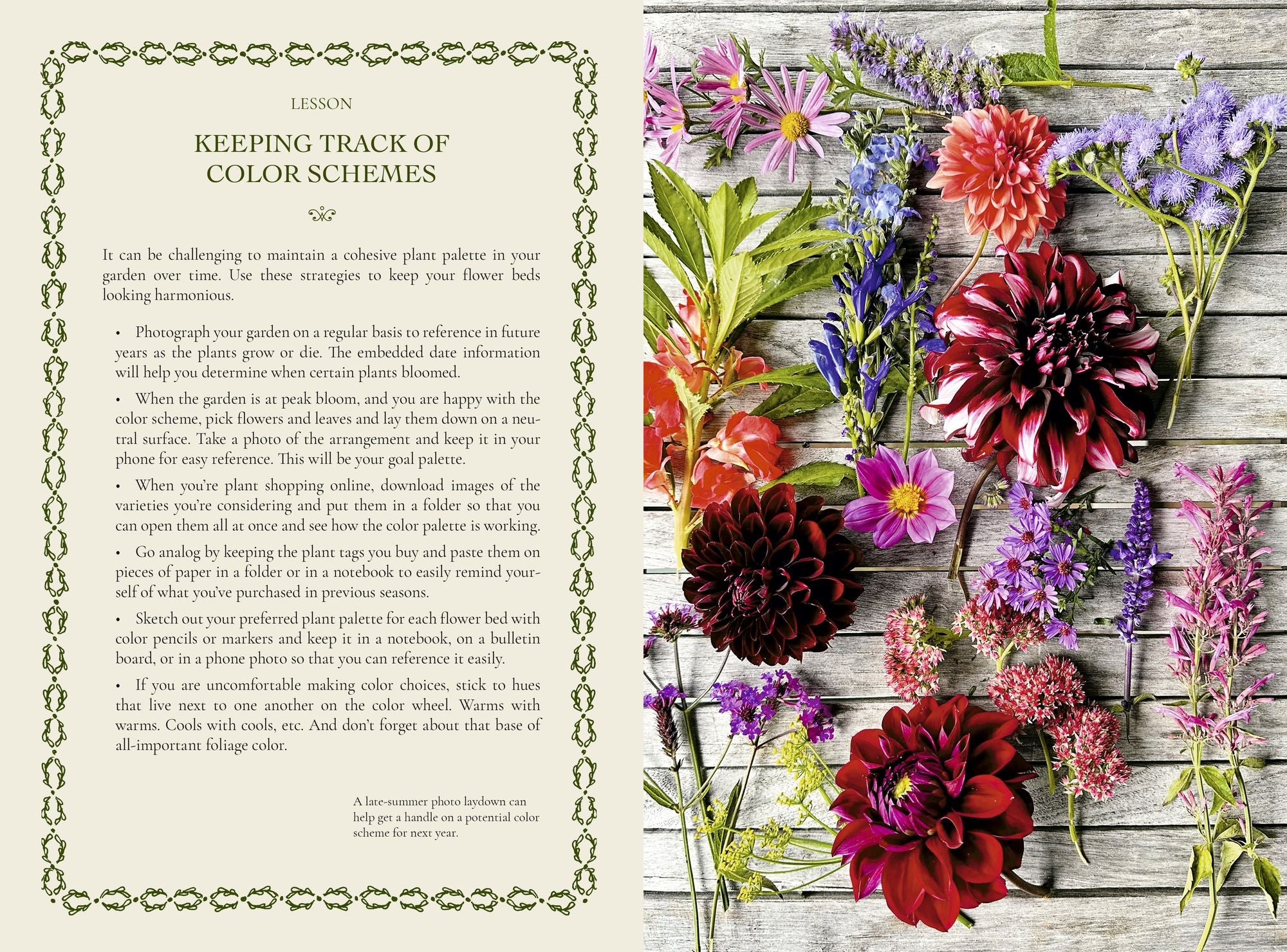 The Gardener's Mindset: A Gardening Book: Connecting with Nature Through Plants
