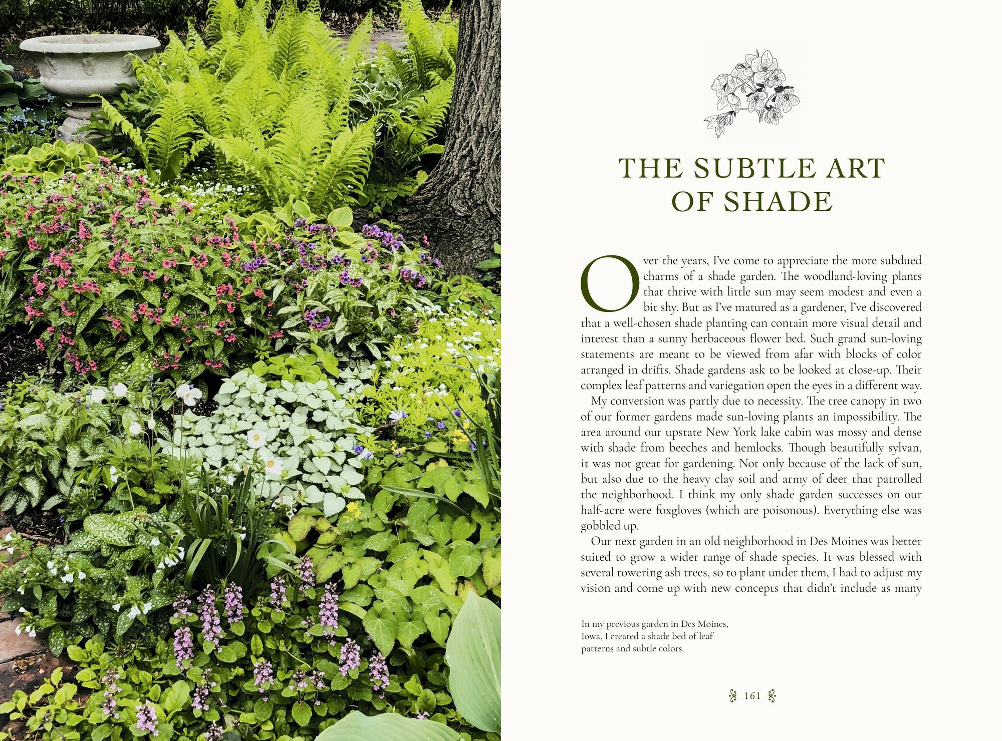 The Gardener's Mindset: A Gardening Book: Connecting with Nature Through Plants