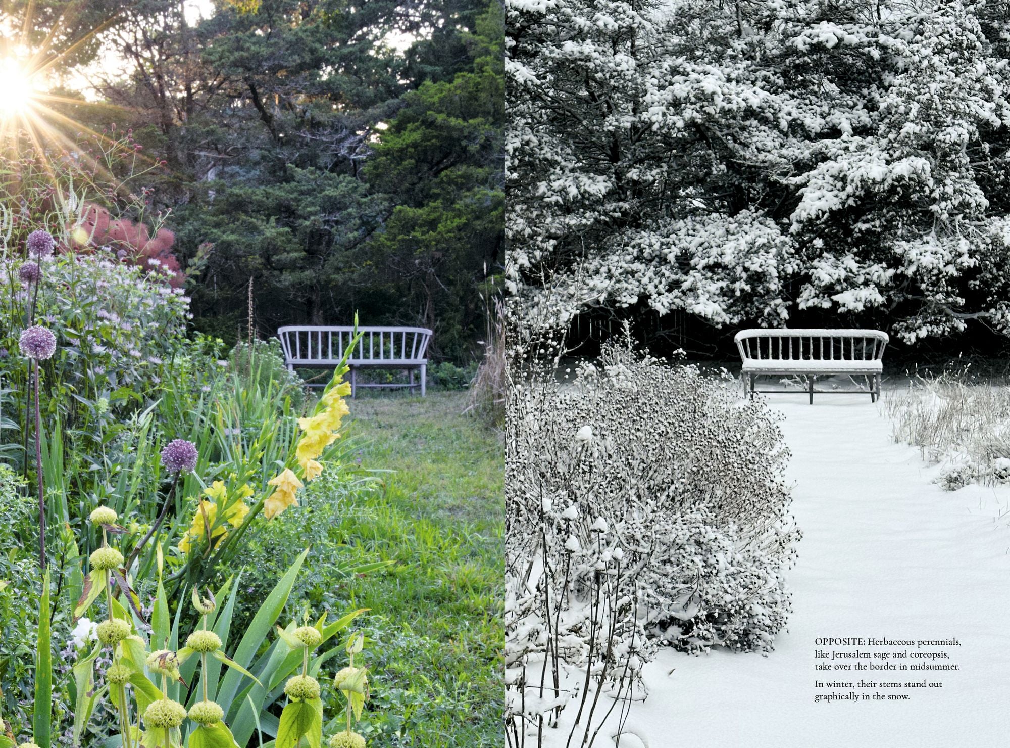 The Gardener's Mindset: A Gardening Book: Connecting with Nature Through Plants