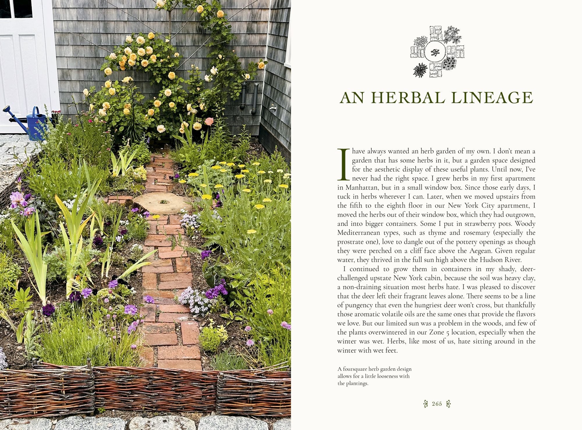 The Gardener's Mindset: A Gardening Book: Connecting with Nature Through Plants
