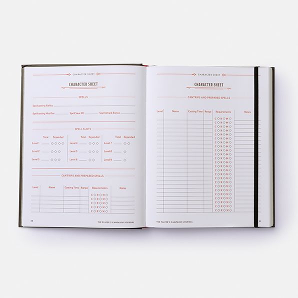 The Player's Campaign Journal (Dungeons & Dragons)