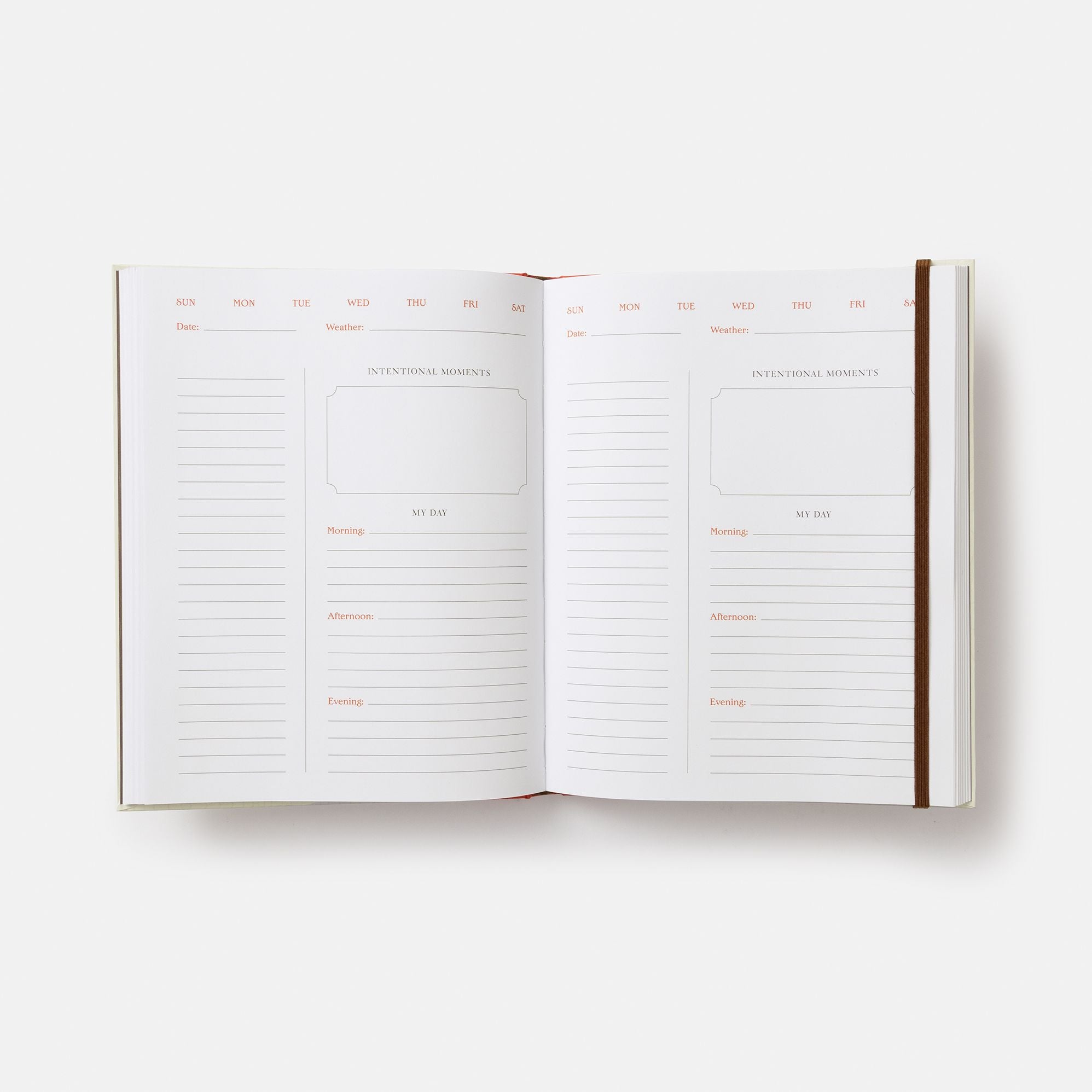 The Backyard Bird Planner: An Undated Desk Calendar and Journal