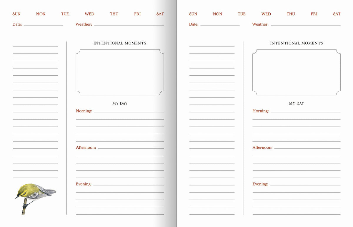 The Backyard Bird Planner: An Undated Desk Calendar and Journal