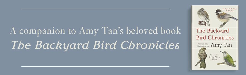 The Backyard Bird Journal: Pages for Writing, Sketching, and Living Deeply in Nature