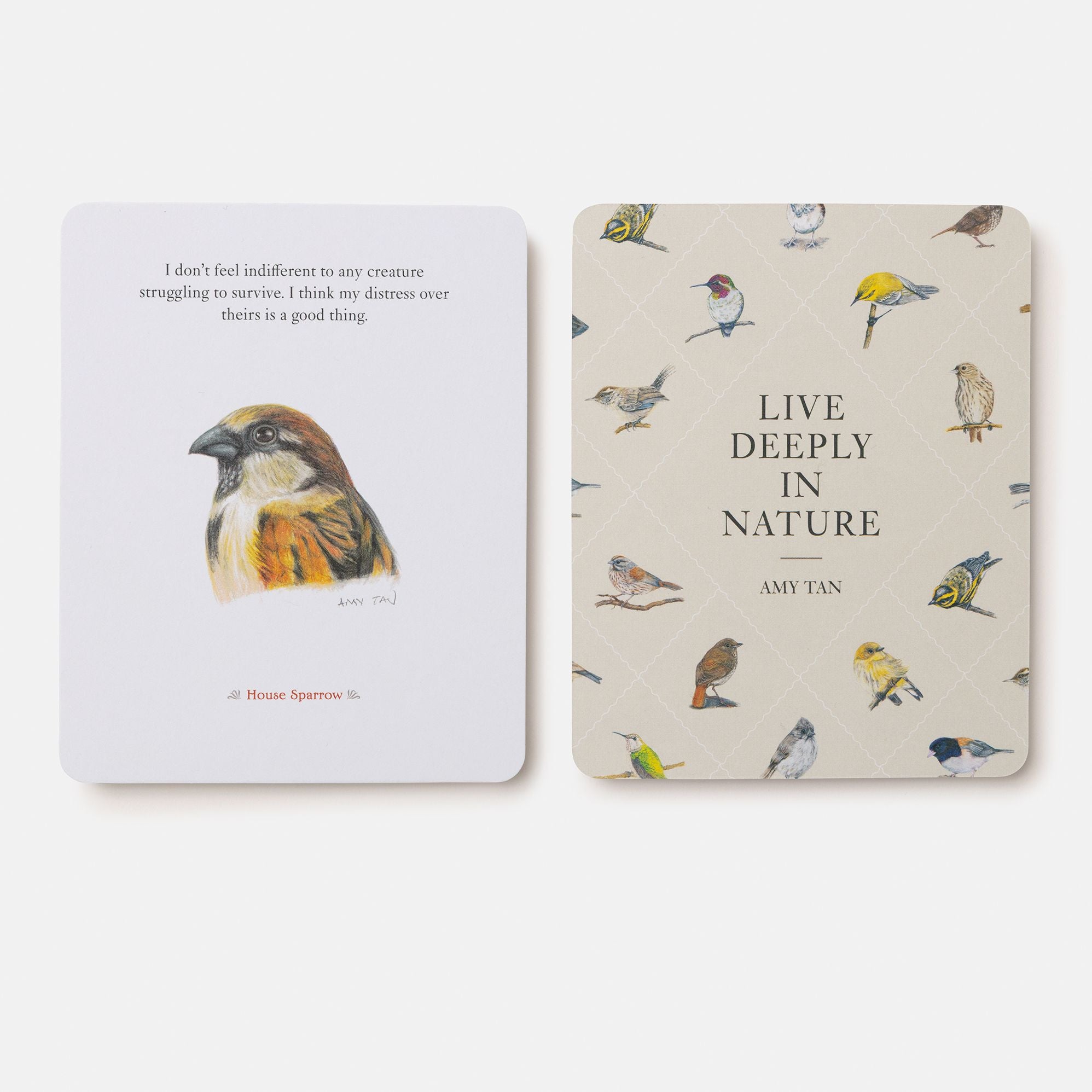 The Backyard Bird Deck: Affirmations and Reflections for Living Deeply in Nature: Affirmation Cards