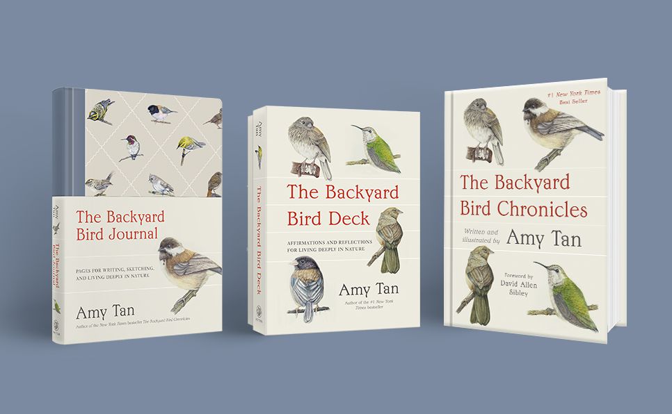 The Backyard Bird Deck: Affirmations and Reflections for Living Deeply in Nature: Affirmation Cards