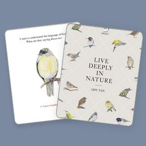 The Backyard Bird Deck: Affirmations and Reflections for Living Deeply in Nature: Affirmation Cards