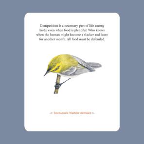 The Backyard Bird Deck: Affirmations and Reflections for Living Deeply in Nature: Affirmation Cards