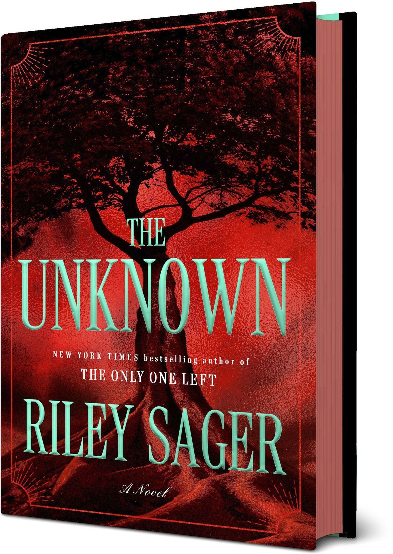 The Unknown: A Novel
