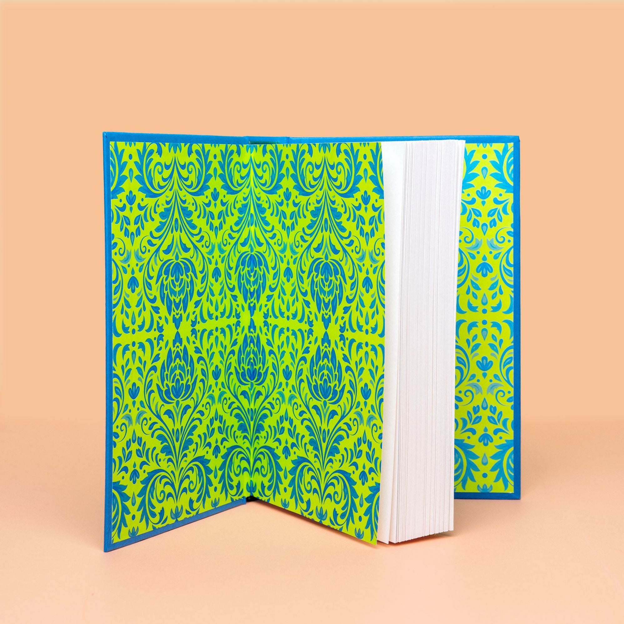 The Life Cycle of the Common Octopus (Barnes & Noble Book Club Edition)