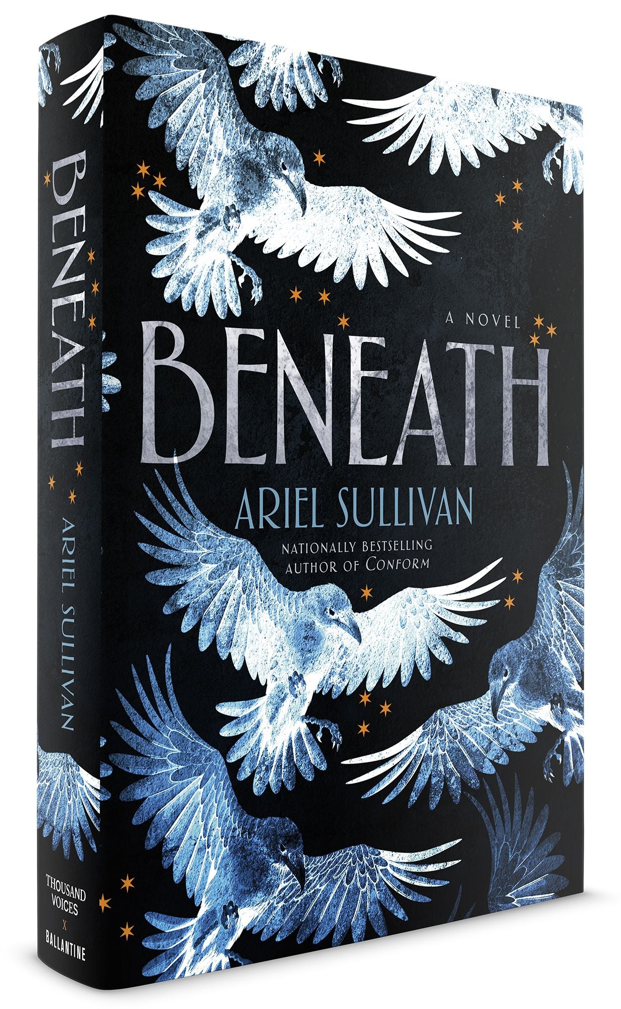 Beneath: A Novel