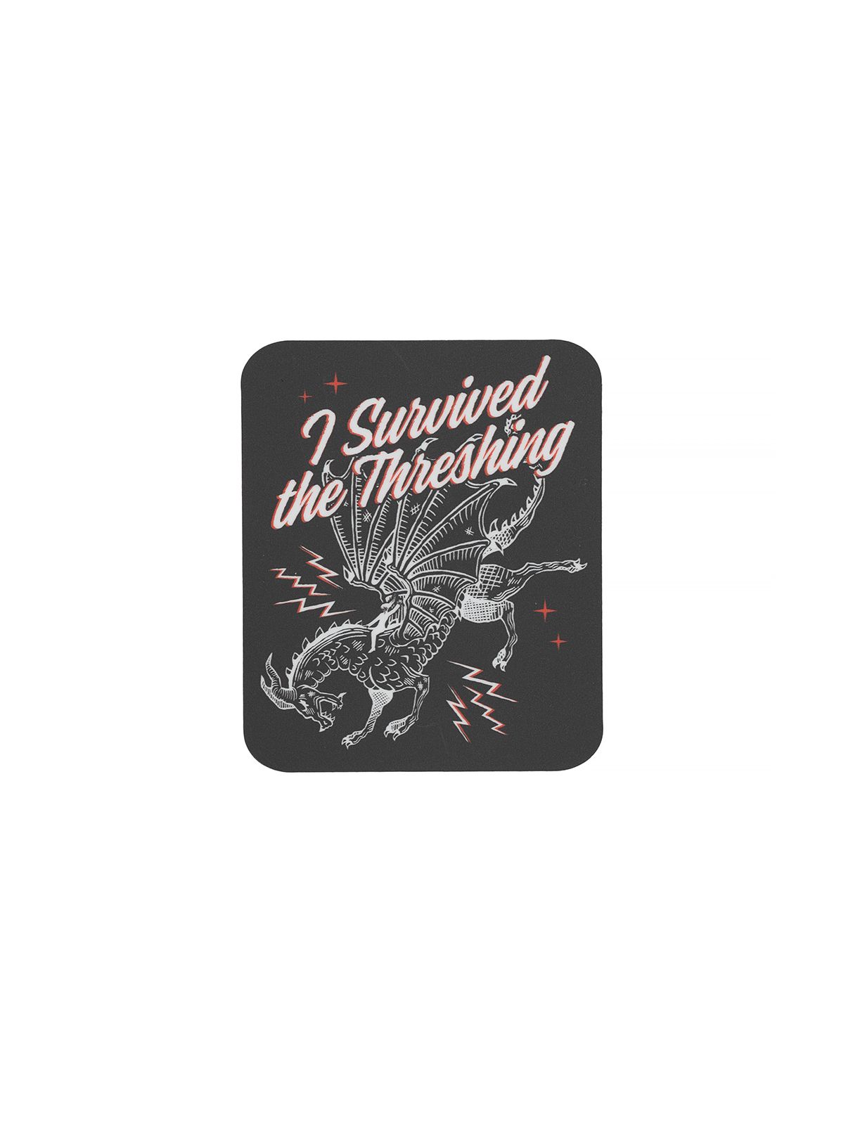 Fourth Wing: Dragon Rider Sticker Set of 4