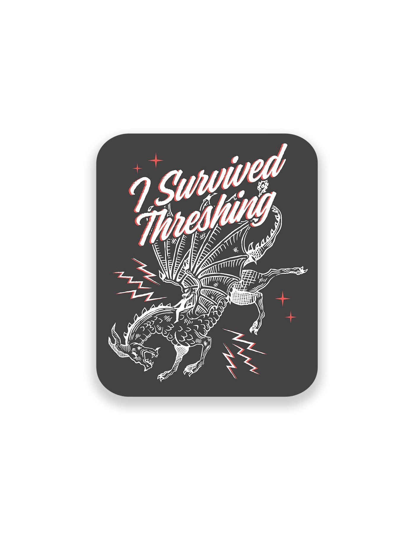 Fourth Wing: Dragon Rider Sticker Set of 4