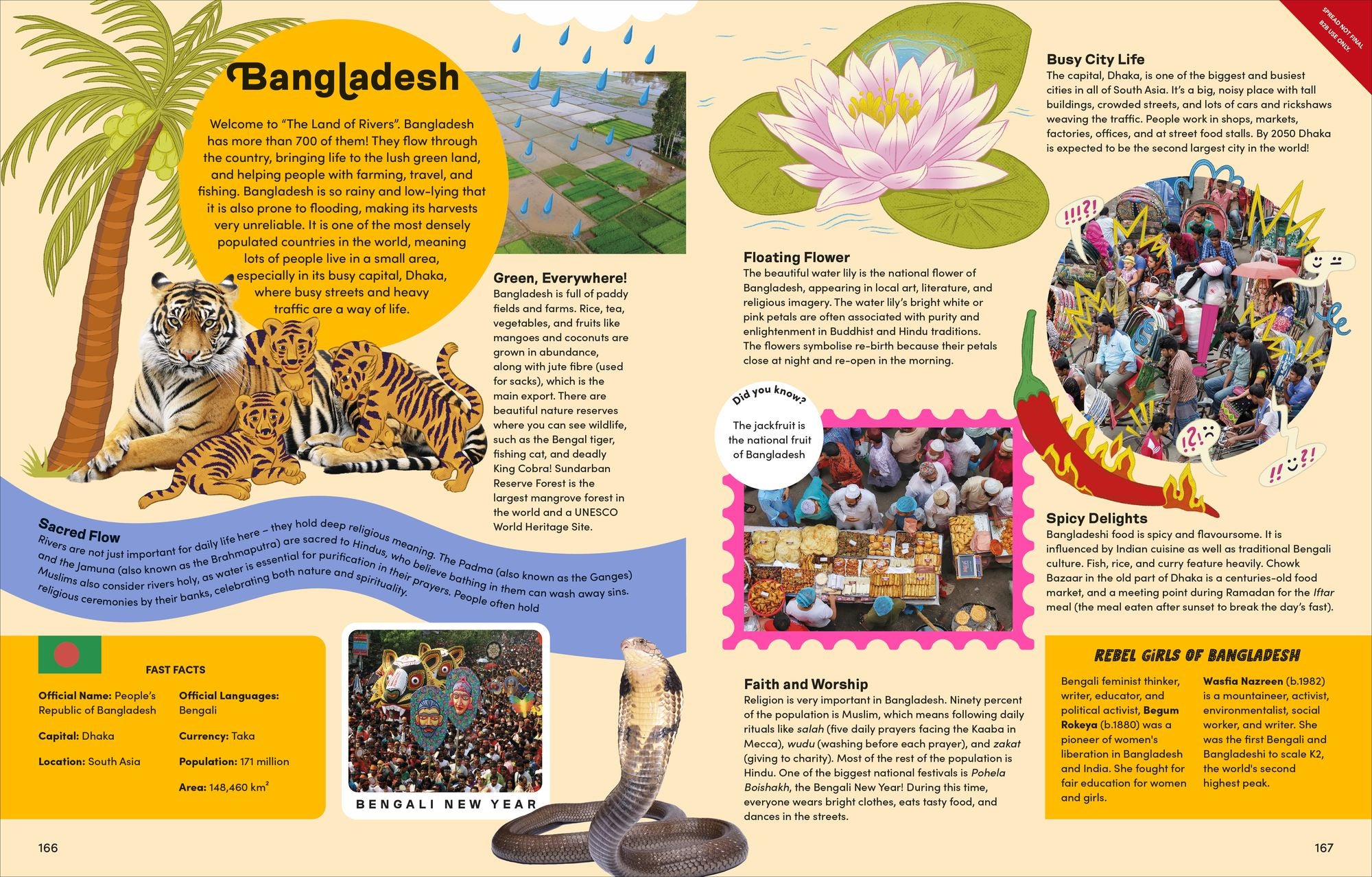 Girls Like Me: Celebrate Real-Life Rebel Girls All Around the World