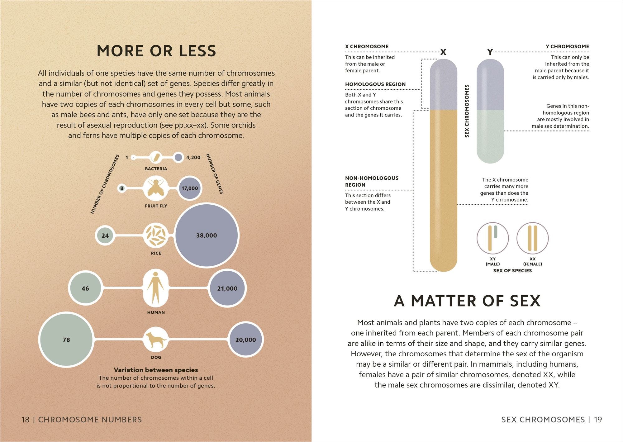 Simply Genetics: Facts Made Fast