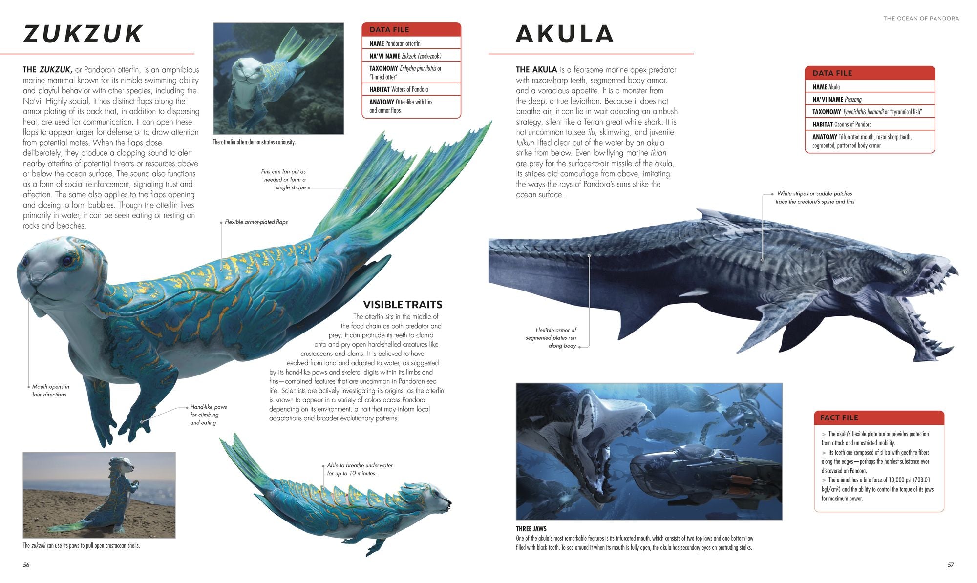 Avatar Fire and Ash The Visual Dictionary