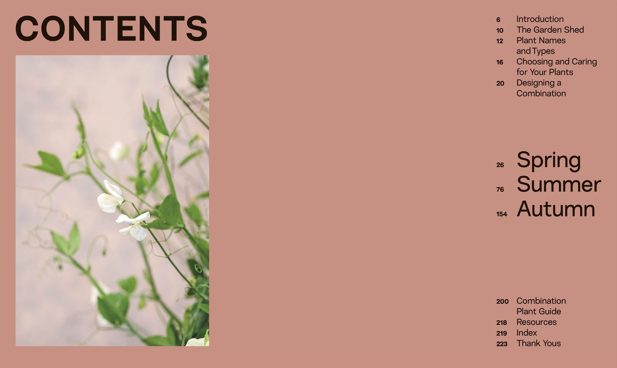 What Grows Together: Fail-Safe Plant Combinations for Every Garden