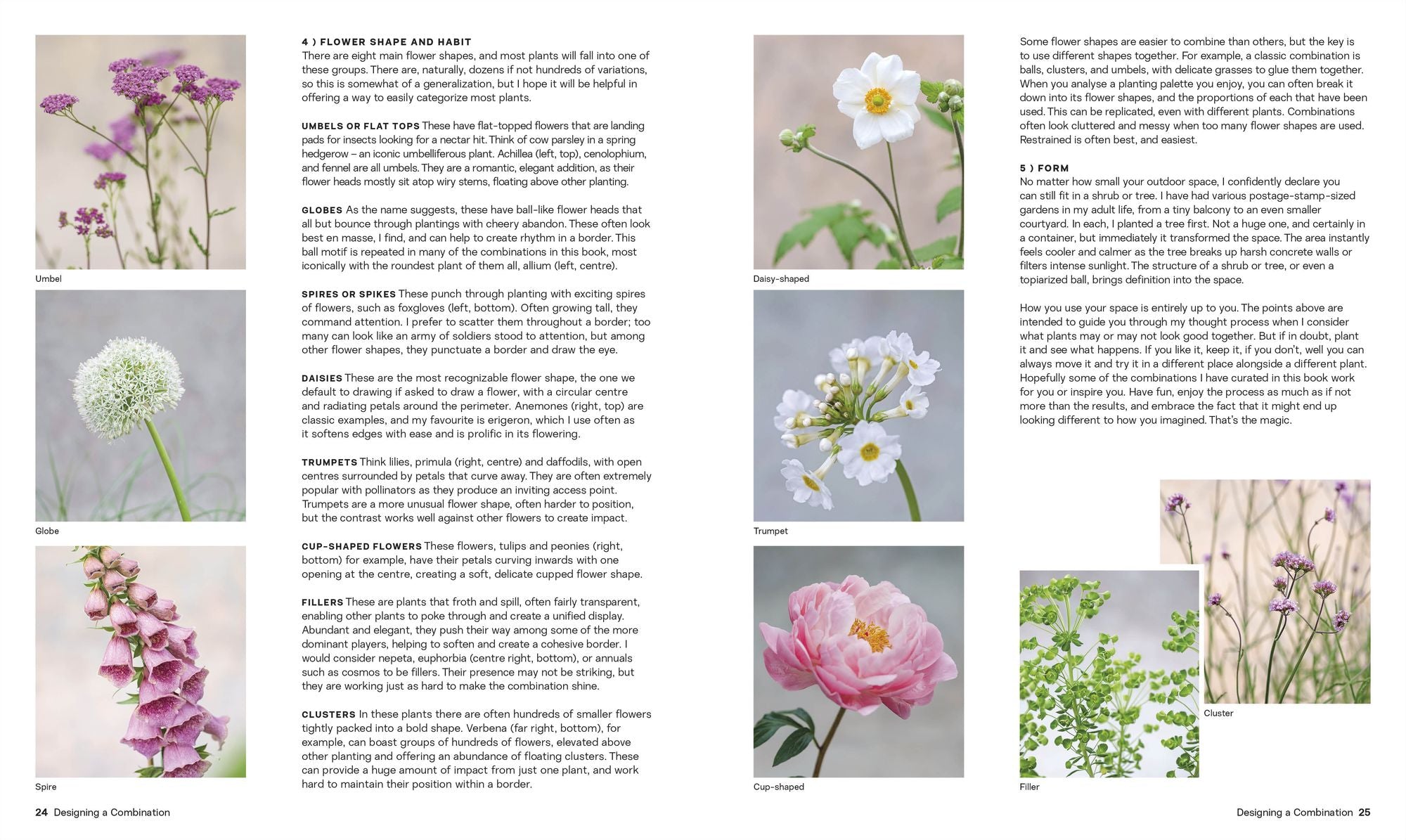 What Grows Together: Fail-Safe Plant Combinations for Every Garden