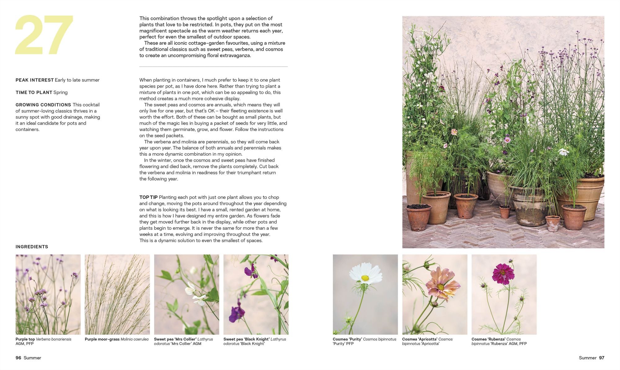 What Grows Together: Fail-Safe Plant Combinations for Every Garden