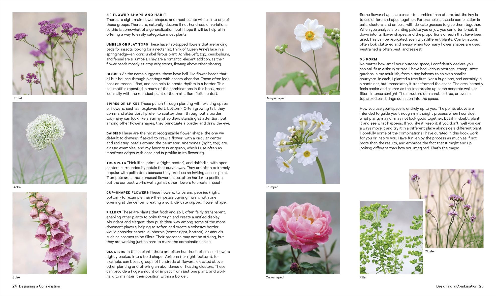 What Grows Together: Fail-Safe Plant Combinations for Every Garden
