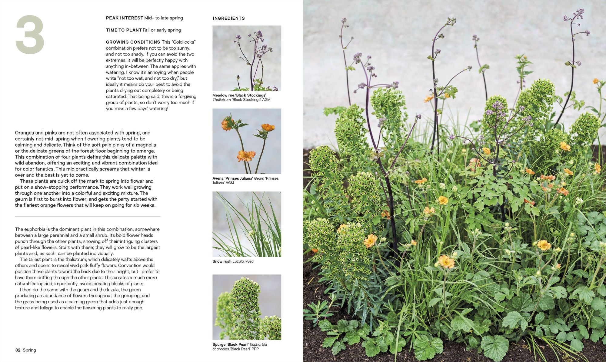 What Grows Together: Fail-Safe Plant Combinations for Every Garden