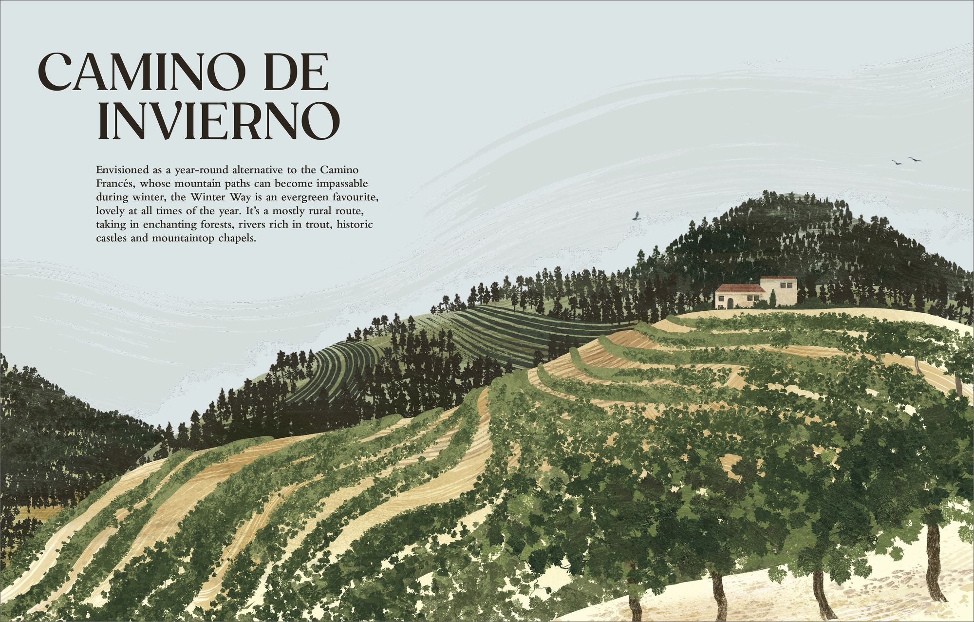 Walking the Camino de Santiago: Find your path on the Way of St James