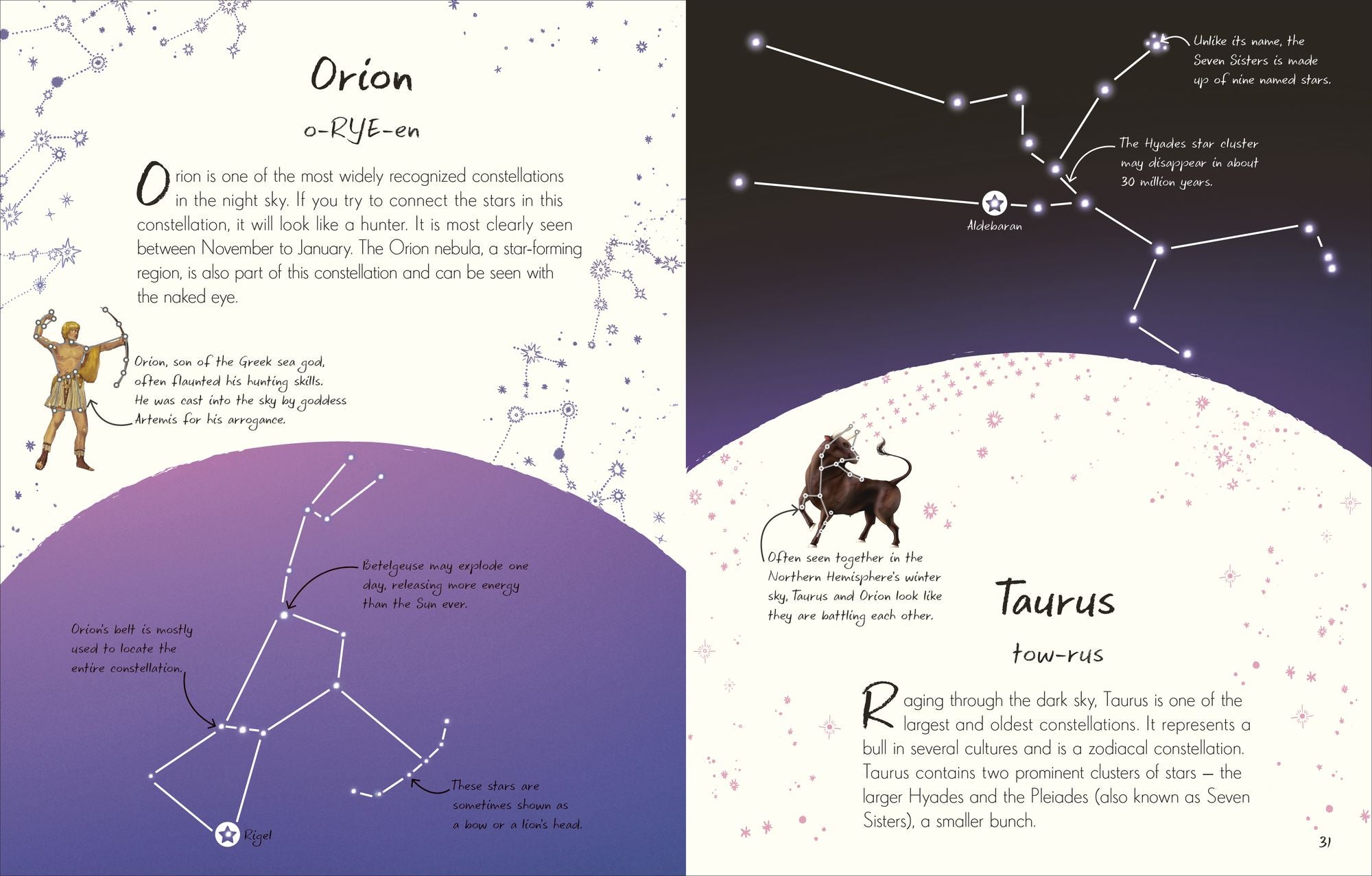An Anthology of Stargazing: A Collection of Stars and Constellations