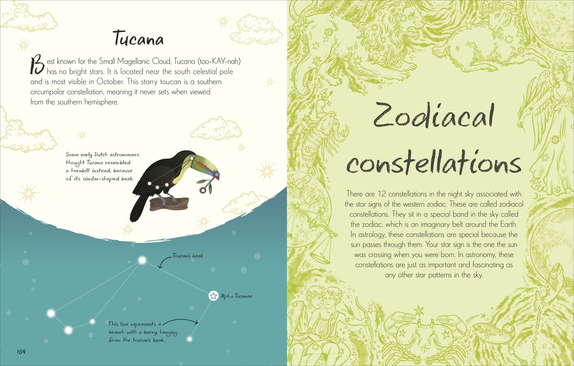 An Anthology of Stargazing: A Collection of Stars and Constellations
