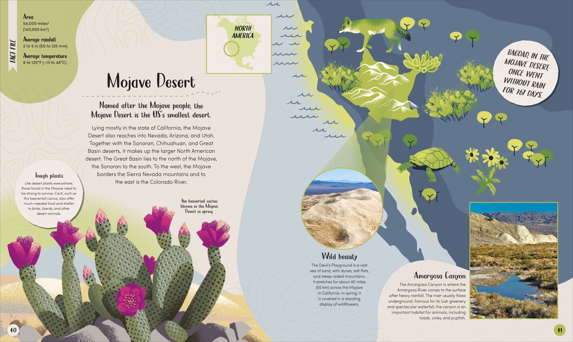 Desert: Journey Through the Hot Sands and Frosty Lands